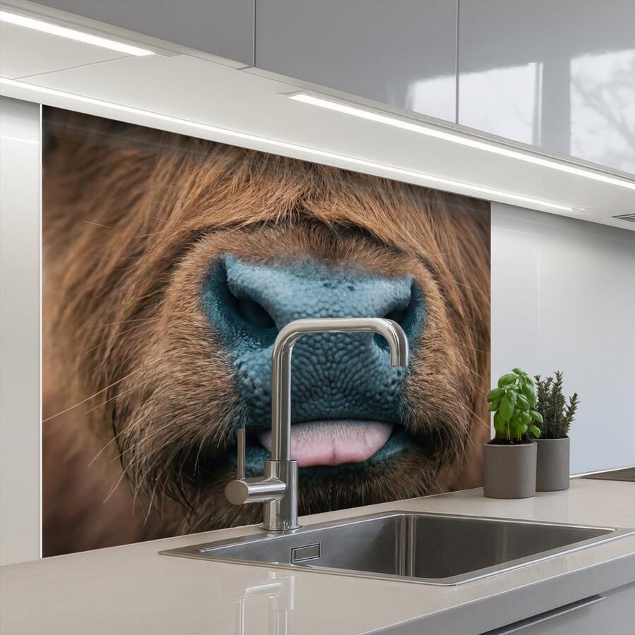 KitchenYeah Keuken achterwand 100x80 cm Spatscherm zelfklevend Schotse hooglander Neus Bruin Muurbeschermer Spatwand fornuis