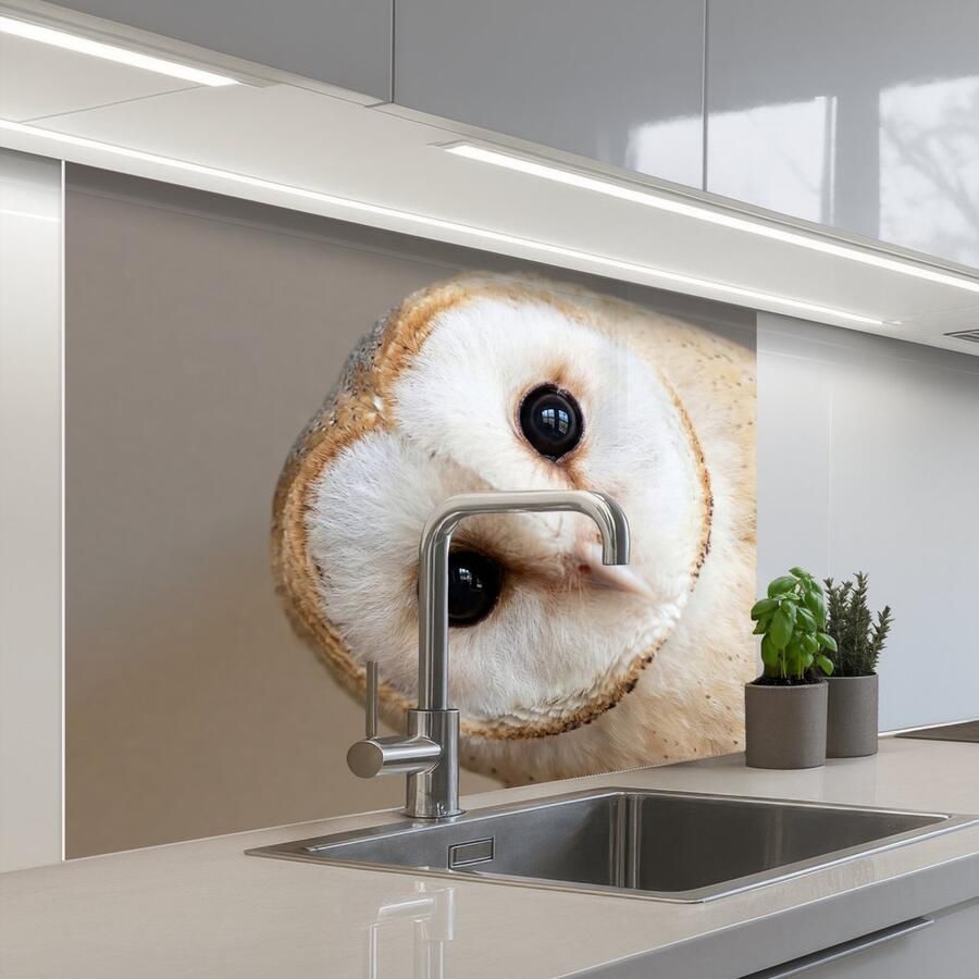 KitchenYeah Keuken achterwand 100x80 cm Spatscherm zelfklevend Uil Bruin Wit Muurbeschermer Spatwand fornuis