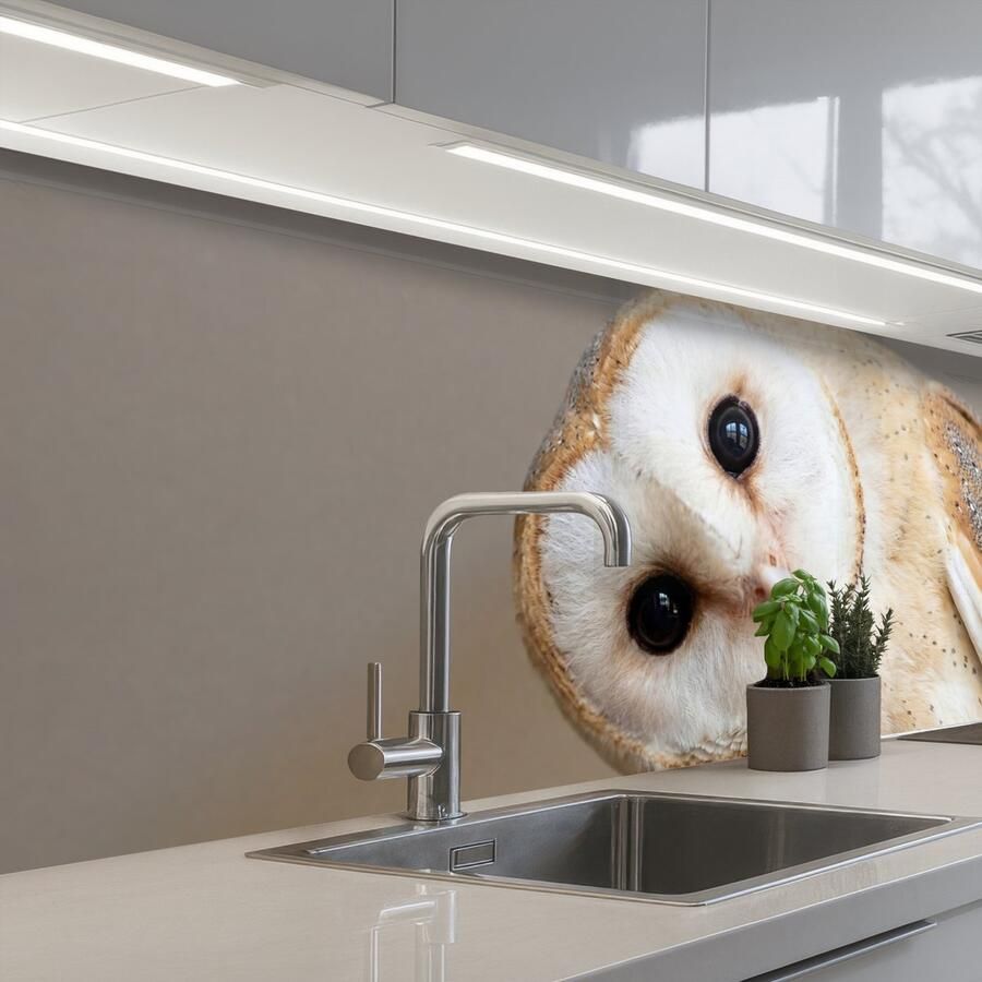 KitchenYeah Keuken achterwand 200x60 cm Spatscherm zelfklevend Uil Bruin Wit Muurbeschermer Spatwand fornuis