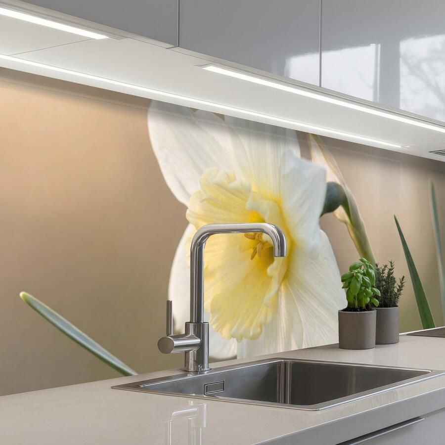 KitchenYeah Keuken achterwand 250x60 cm Spatscherm zelfklevend Narcis Bloem Minimalistisch Muurbeschermer Spatwand fornuis