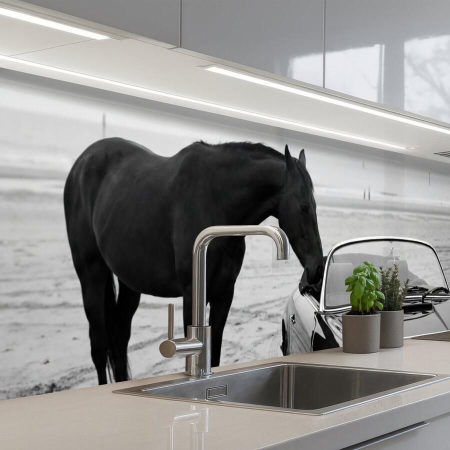 KitchenYeah Keuken achterwand 250x60 cm Spatscherm zelfklevend Paard Auto Zwart Wit Muurbeschermer Spatwand fornuis