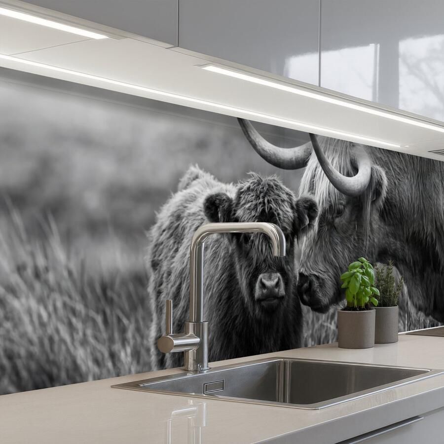 KitchenYeah Keuken achterwand 250x60 cm Spatscherm zelfklevend Schotse hooglander Kalf Zwart Wit Muurbeschermer Spatwand fornuis