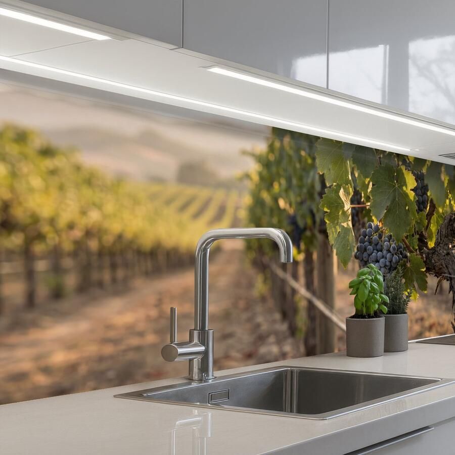 KitchenYeah Keuken achterwand 250x80 cm Spatscherm zelfklevend Druiven Wijngaard Zonlicht Muurbeschermer Spatwand fornuis