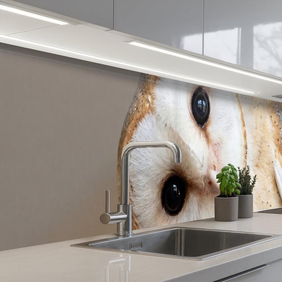 KitchenYeah Keuken achterwand 300x60 cm Spatscherm zelfklevend Uil Bruin Wit Muurbeschermer Spatwand fornuis