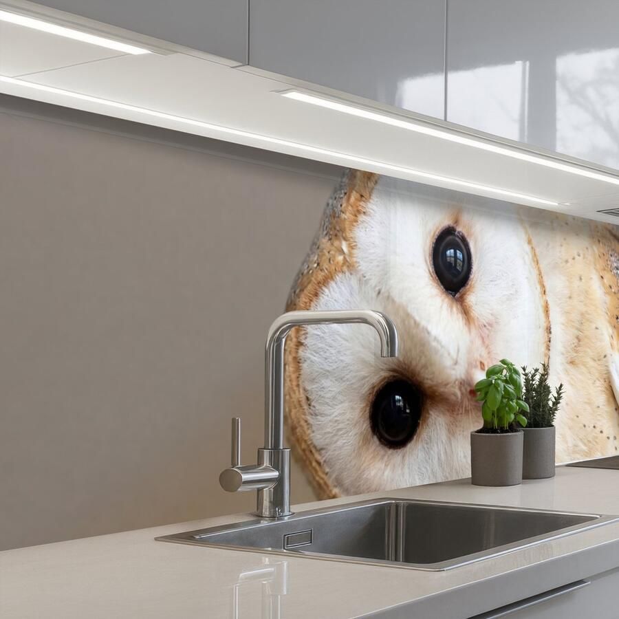 KitchenYeah Keuken achterwand 300x80 cm Spatscherm zelfklevend Uil Bruin Wit Muurbeschermer Spatwand fornuis