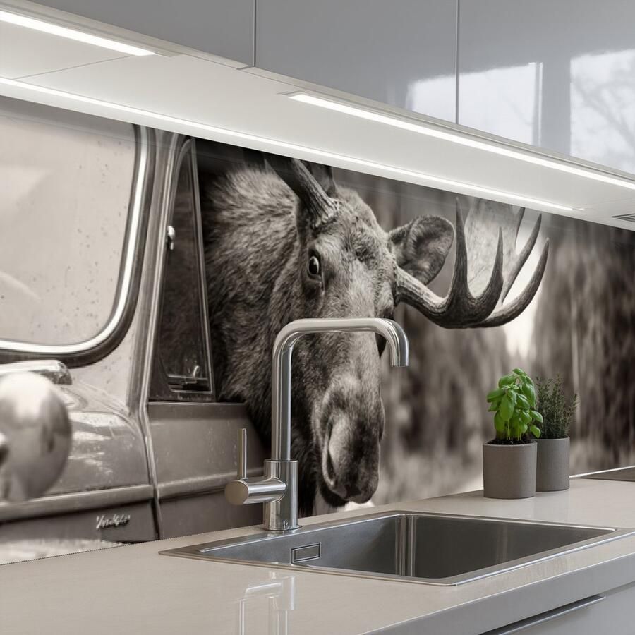 KitchenYeah Keuken achterwand 400x80 cm Spatscherm zelfklevend Eland Auto Gewei Zwart Wit Muurbeschermer Spatwand fornuis