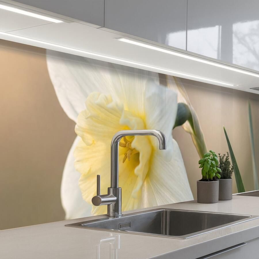 KitchenYeah Keuken achterwand 400x80 cm Spatscherm zelfklevend Narcis Bloem Minimalistisch Muurbeschermer Spatwand fornuis