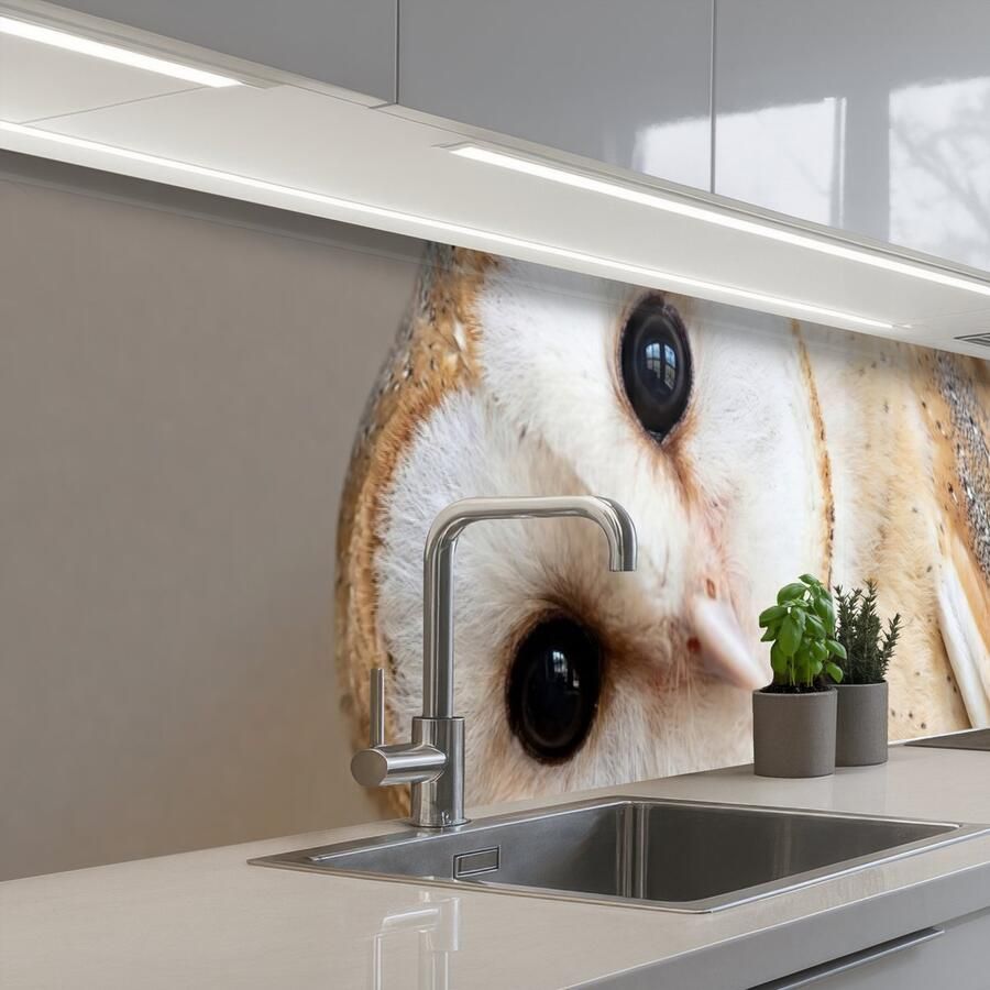 KitchenYeah Keuken achterwand 400x80 cm Spatscherm zelfklevend Uil Bruin Wit Muurbeschermer Spatwand fornuis