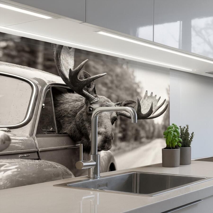 KitchenYeah Keuken achterwand 80x60 cm Spatscherm zelfklevend Eland Auto Gewei Zwart Wit Muurbeschermer Spatwand fornuis