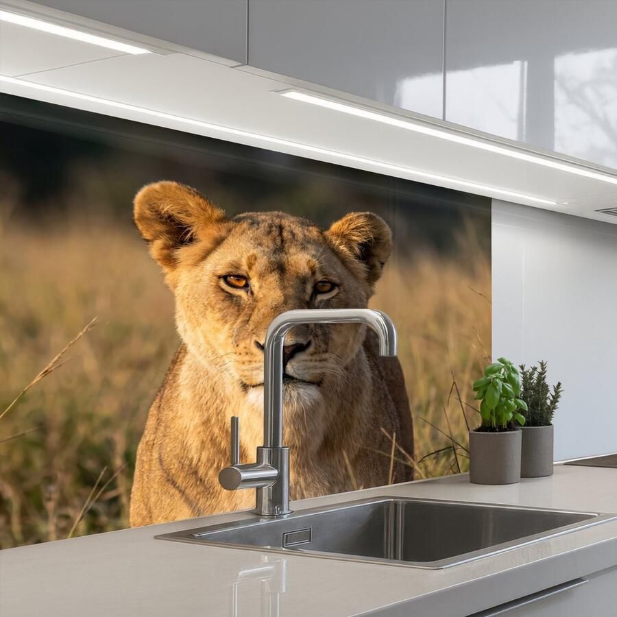 KitchenYeah Keuken achterwand 80x60 cm Spatscherm zelfklevend Leeuwin Gras Geel Muurbeschermer Spatwand fornuis