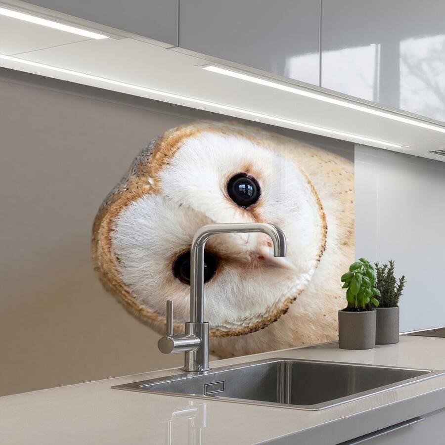 KitchenYeah Keuken achterwand 80x60 cm Spatscherm zelfklevend Uil Bruin Wit Muurbeschermer Spatwand fornuis