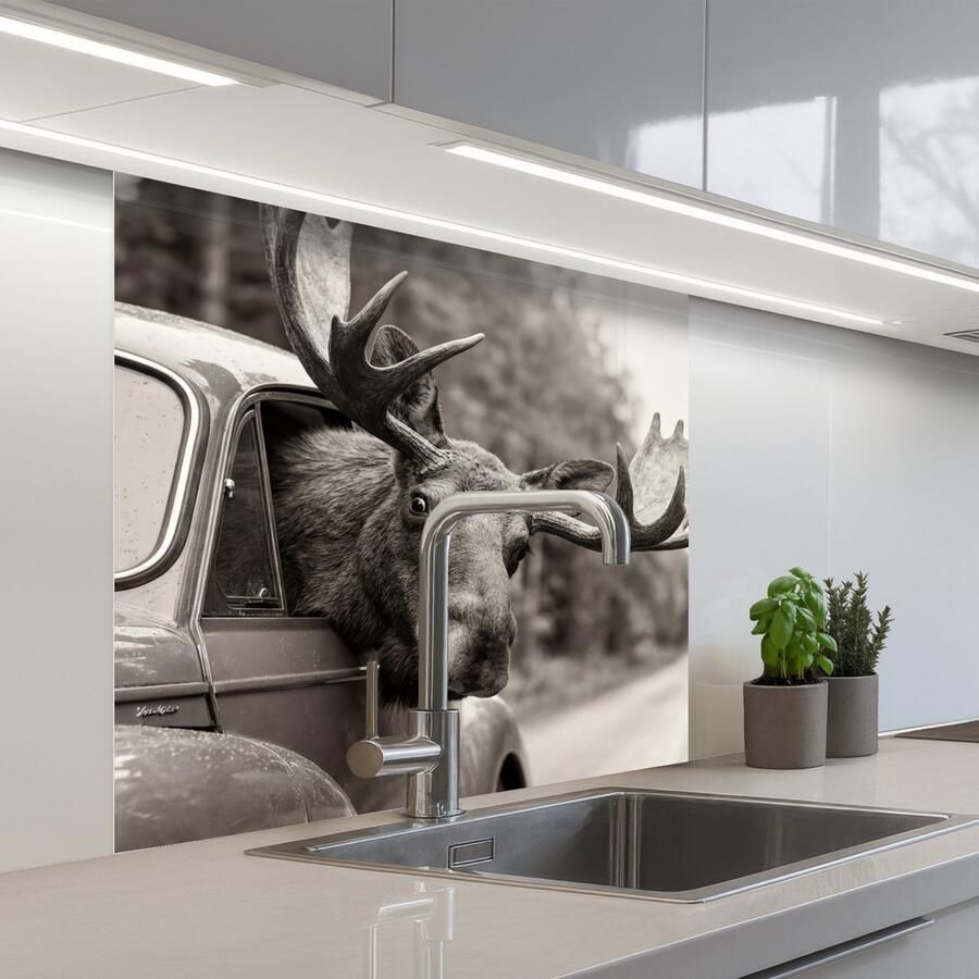 KitchenYeah Keuken achterwand 80x80 cm Spatscherm zelfklevend Eland Auto Gewei Zwart Wit Muurbeschermer Spatwand fornuis