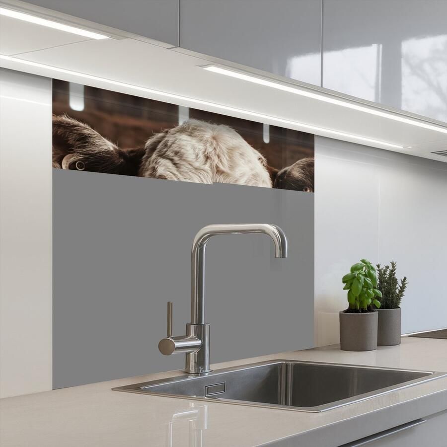 KitchenYeah Keuken achterwand 80x80 cm Spatscherm zelfklevend Kalf Oormerk Houten stal Muurbeschermer Spatwand fornuis