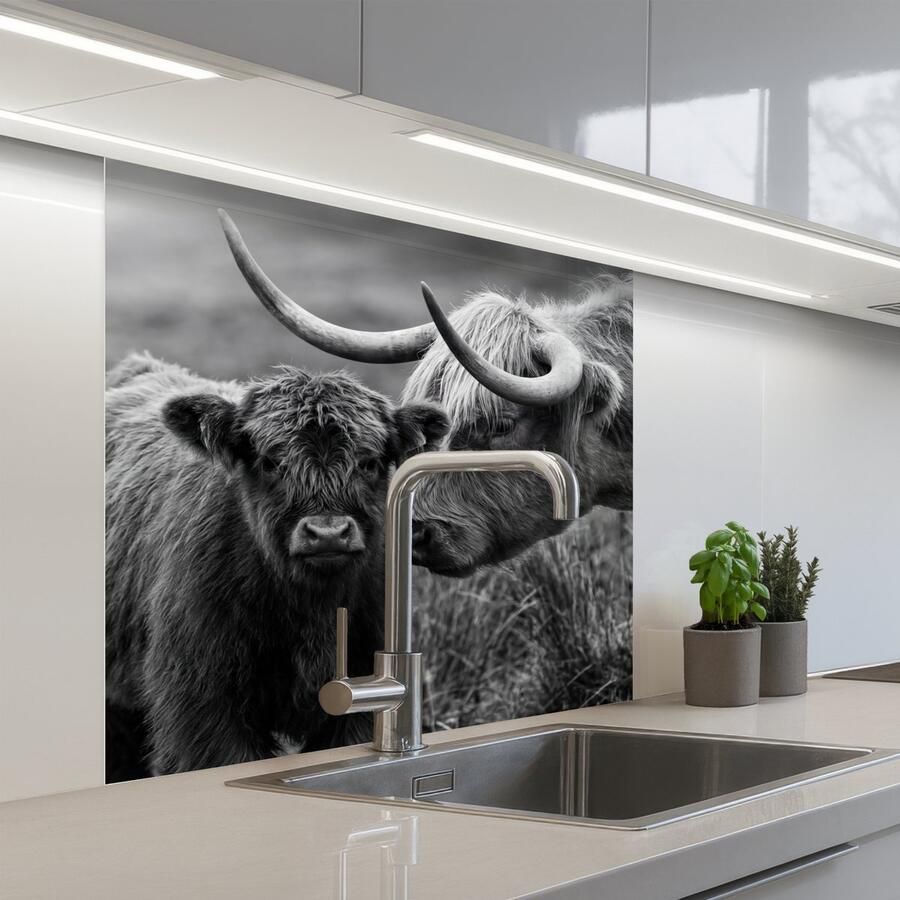 KitchenYeah Keuken achterwand 80x80 cm Spatscherm zelfklevend Schotse hooglander Kalf Zwart Wit Muurbeschermer Spatwand fornuis