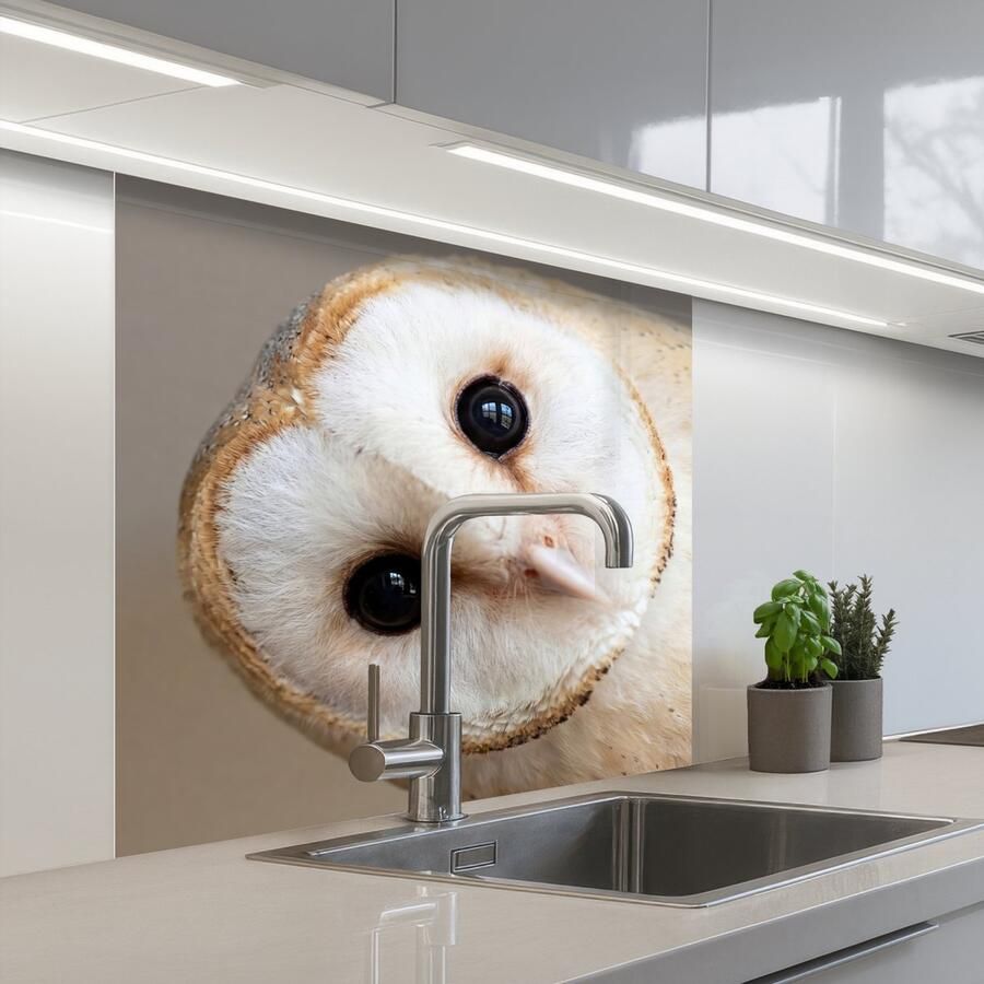 KitchenYeah Keuken achterwand 80x80 cm Spatscherm zelfklevend Uil Bruin Wit Muurbeschermer Spatwand fornuis