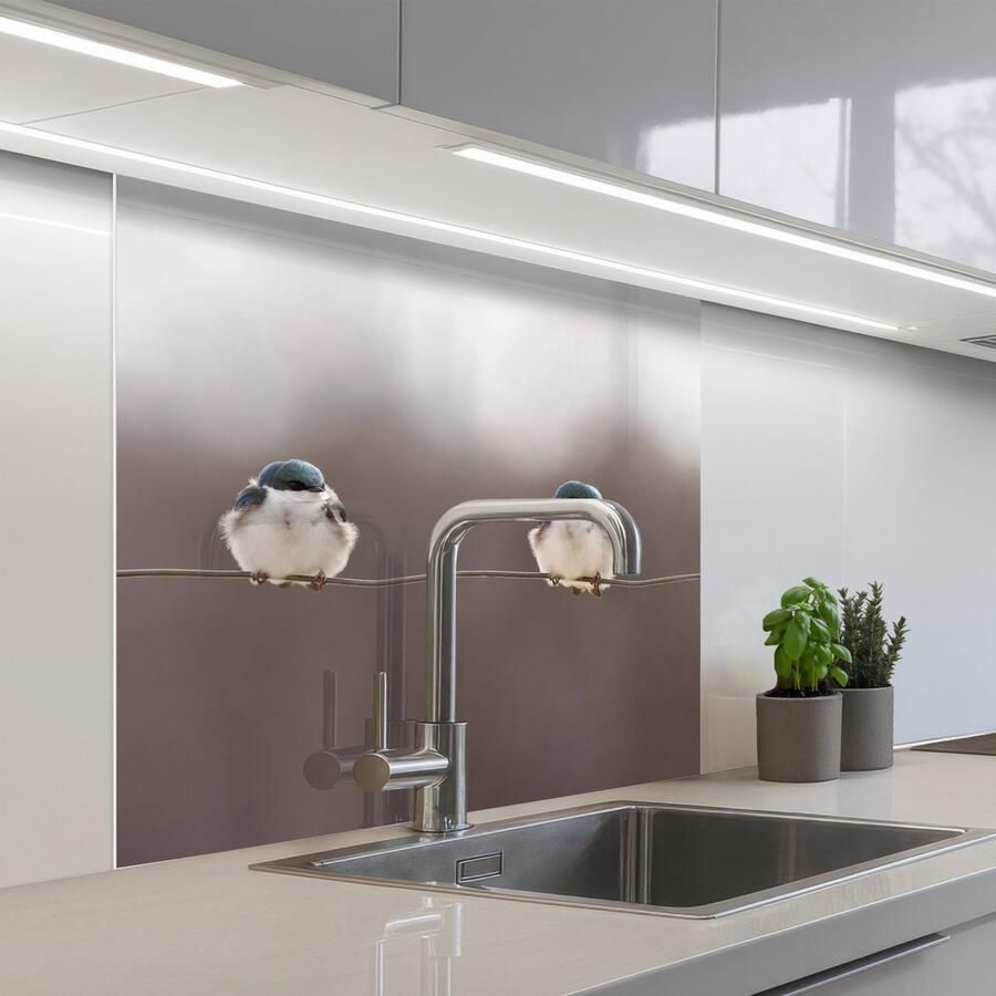 KitchenYeah Keuken achterwand 80x80 cm Spatscherm zelfklevend Vogels Dieren Draad Portret Muurbeschermer Spatwand fornuis