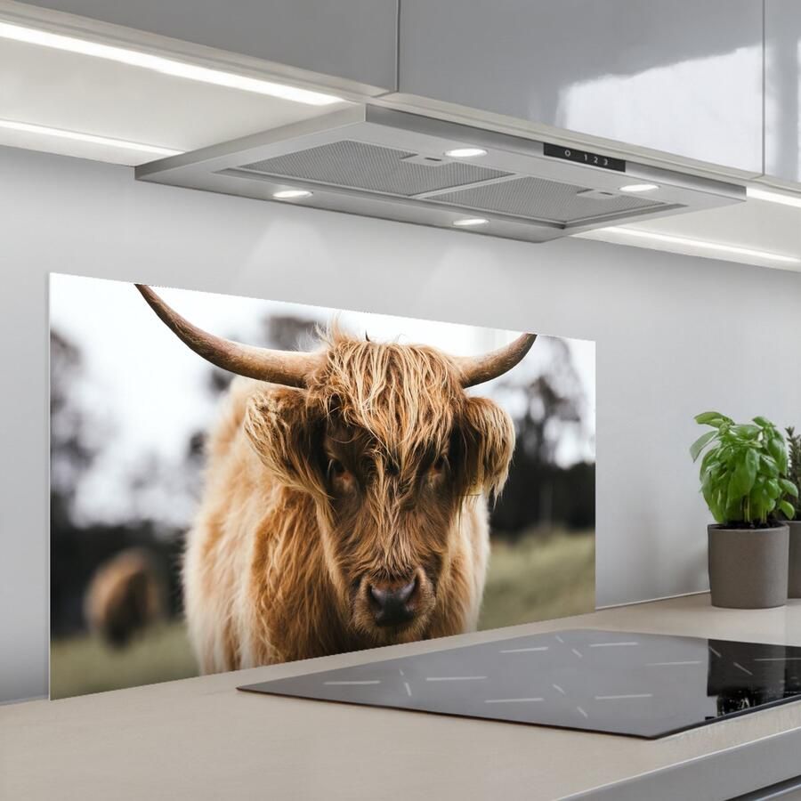KitchenYeah Spatscherm 100x50 cm Zelfklevende achterwand Schotse Hooglander Koe Gras Dieren Natuur Keuken muurbeschermer Spatwand fornuis