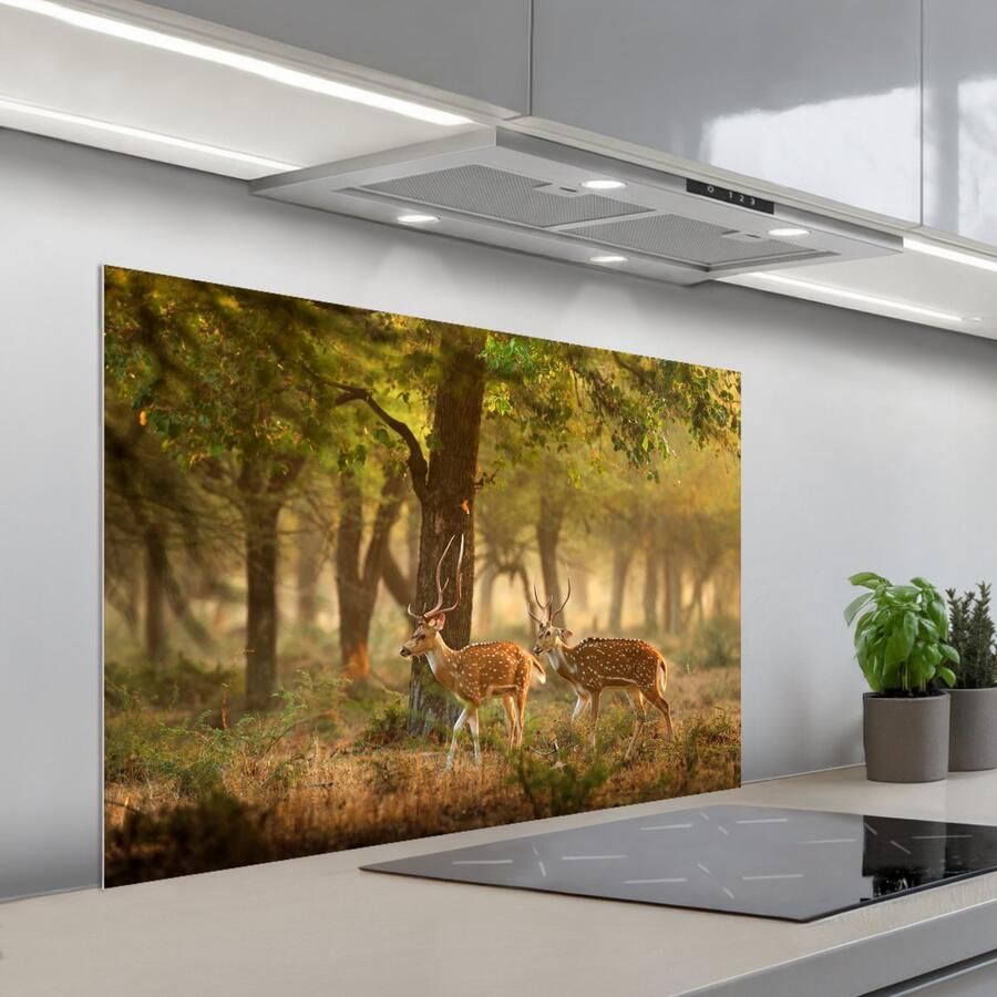 KitchenYeah Spatscherm 100x65 cm Zelfklevende achterwand Herten Bos Herfst Bosdieren Natuur Hert Keuken muurbeschermer Spatwand fornuis