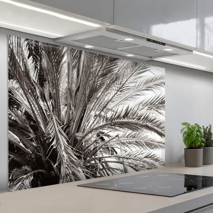KitchenYeah Spatscherm 120x80 cm Zelfklevende achterwand Palmboom Tropisch Zwart Wit Keuken muurbeschermer Spatwand fornuis