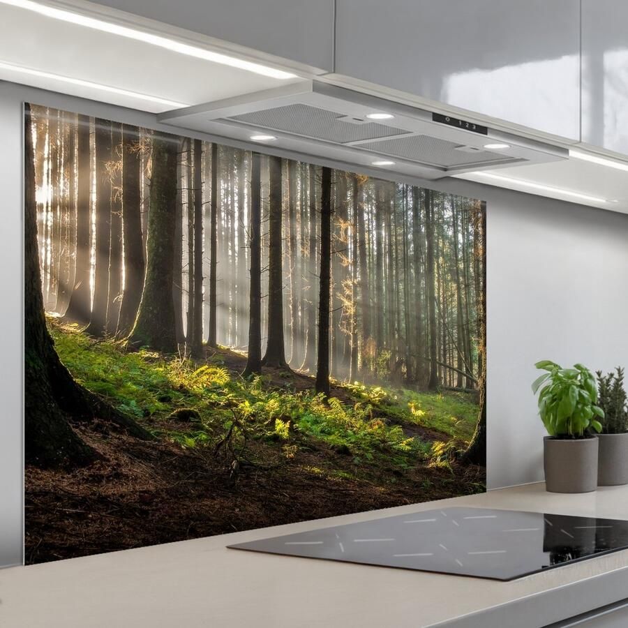 KitchenYeah Spatscherm 120x80 cm Zelfklevende achterwand Zon Takken Bomen Bos Natuur Keuken muurbeschermer Spatwand fornuis