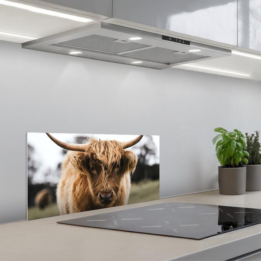 KitchenYeah Spatscherm 60x30 cm Zelfklevende achterwand Schotse Hooglander Koe Gras Dieren Natuur Keuken muurbeschermer Spatwand fornuis