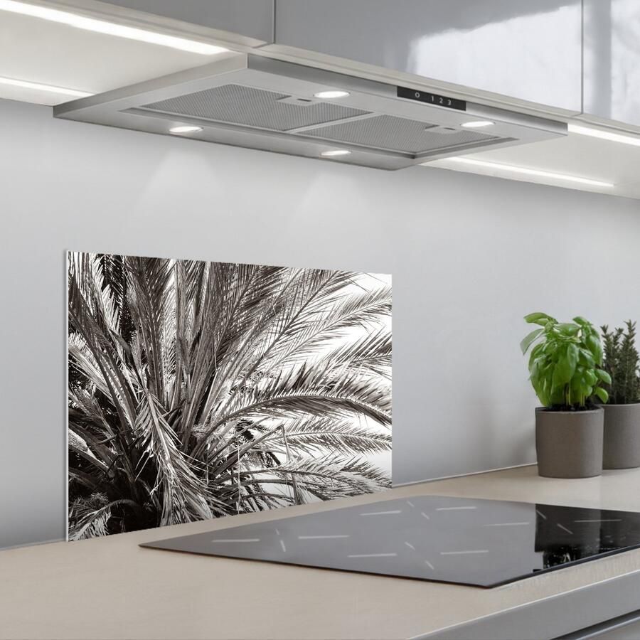 KitchenYeah Spatscherm 60x40 cm Zelfklevende achterwand Palmboom Tropisch Zwart Wit Keuken muurbeschermer Spatwand fornuis