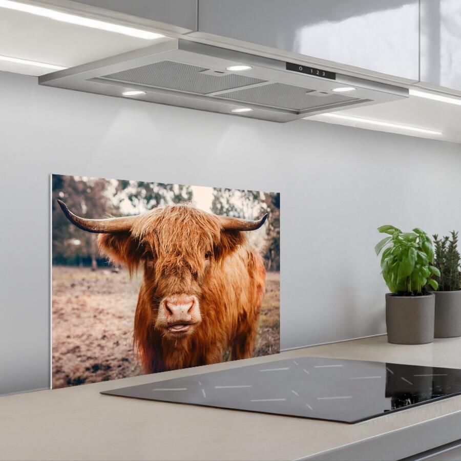 KitchenYeah Spatscherm 60x45 cm Zelfklevende achterwand Koe- Schotse hooglander Hoorns Bruin Landschap Keuken muurbeschermer Spatwand fornuis