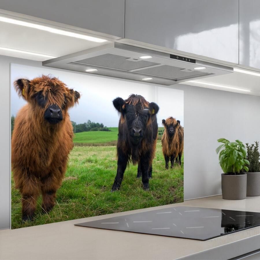 KitchenYeah Spatscherm 90x60 cm Zelfklevende achterwand Schotse hooglander Koeien Natuur Groen Gras Keuken muurbeschermer Spatwand fornuis