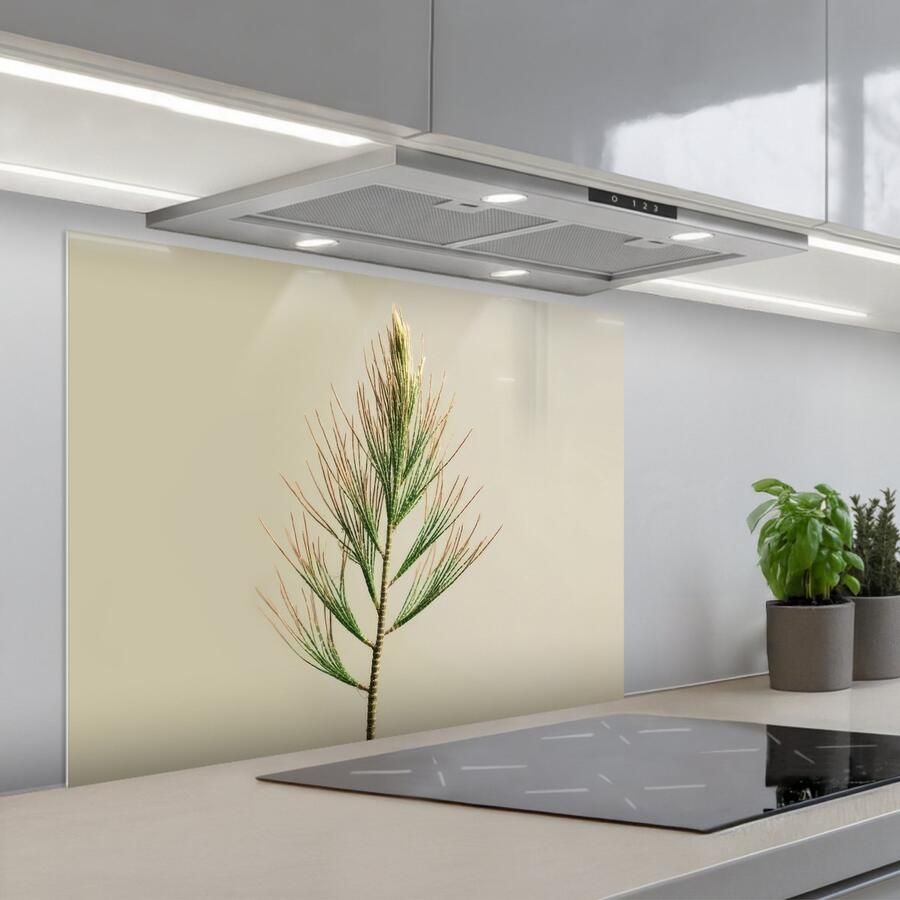 KitchenYeah Spatscherm 80x60 cm Zelfklevende achterwand Dennentak Naaldvormige bladeren Lichtgroen Keuken muurbeschermer Spatwand fornuis