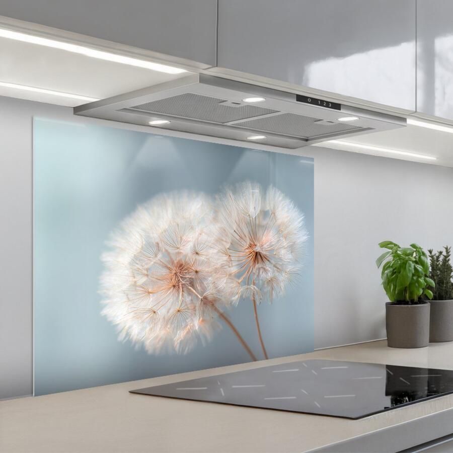 KitchenYeah Spatscherm 80x60 cm Zelfklevende achterwand Paardenbloemen Pluisjes Wit Keuken muurbeschermer Spatwand fornuis