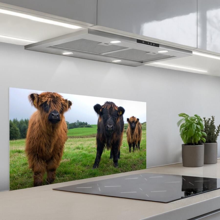 KitchenYeah Spatscherm 80x40 cm Zelfklevende achterwand Schotse hooglander Koeien Natuur Groen Gras Keuken muurbeschermer Spatwand fornuis