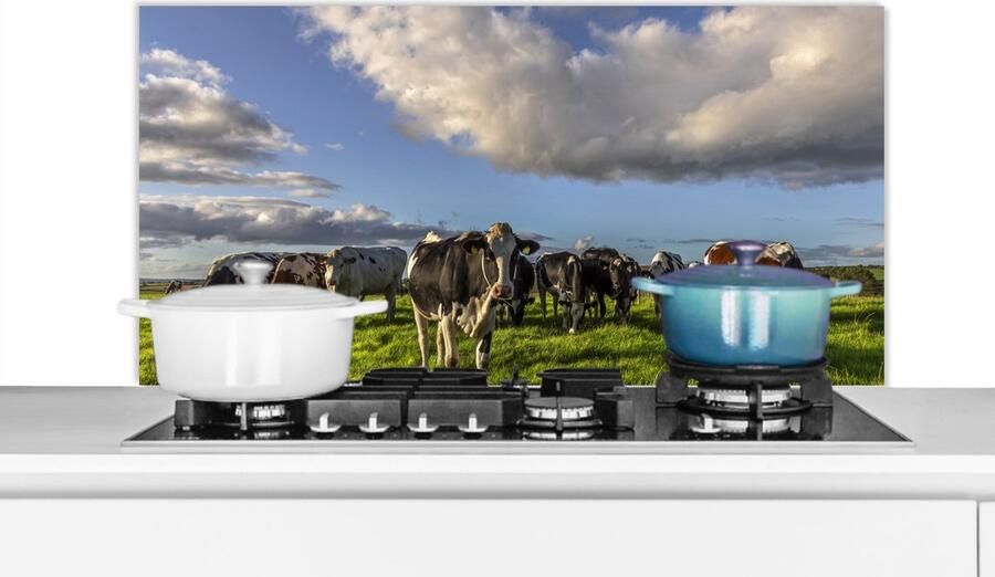 KitchenYeah Spatscherm keuken 100x50 cm Kookplaat achterwand Koeien Licht Gras Muurbeschermer Spatwand fornuis Hoogwaardig aluminium