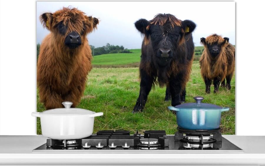KitchenYeah Spatscherm Keuken Kookplaat Achterwand Spatwand Fornuis 100x65 cm Schotse hooglander Koeien Natuur Groen Gras Aluminium Wanddecoratie Muurbeschermer Hittebestendig - Foto 2