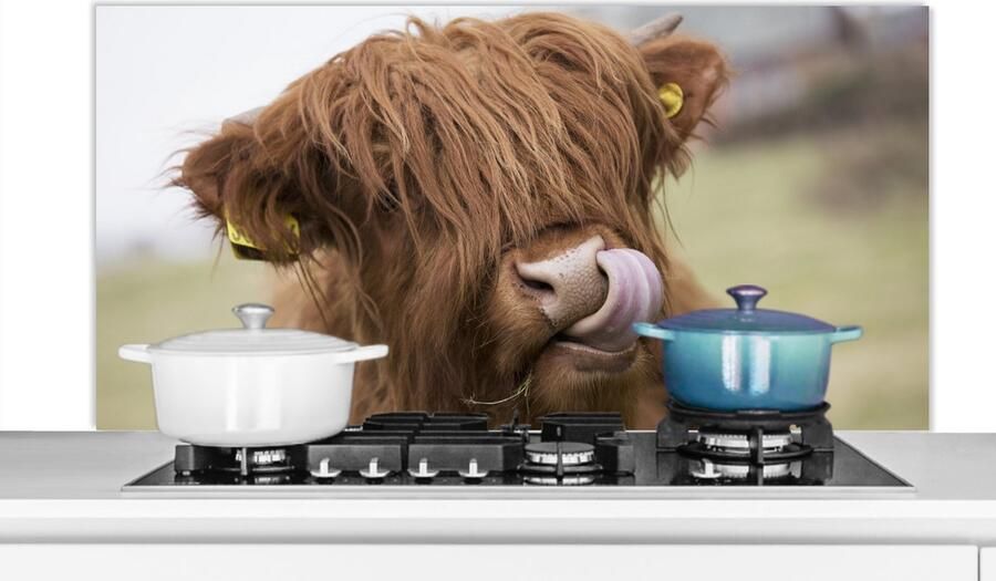 KitchenYeah Spatscherm keuken 120x60 cm Kookplaat achterwand Schotse Hooglander Bruin Dieren Muurbeschermer Spatwand fornuis Hoogwaardig aluminium