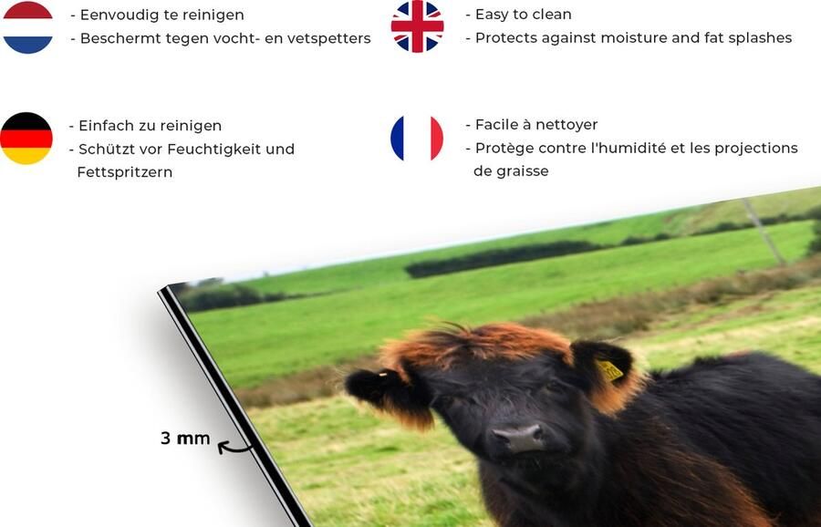 KitchenYeah Spatscherm keuken 120x80 cm Kookplaat achterwand Schotse hooglander Gras Koeien Muurbeschermer Spatwand fornuis Hoogwaardig aluminium