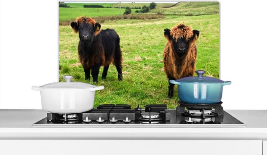 KitchenYeah Spatscherm keuken 70x50 cm Kookplaat achterwand Schotse hooglander Gras Koeien Muurbeschermer Spatwand fornuis Hoogwaardig aluminium