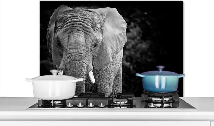 KitchenYeah Spatscherm keuken 80x55 cm Kookplaat achterwand Portret van een olifant in zwart-wit Muurbeschermer Spatwand fornuis Hoogwaardig aluminium