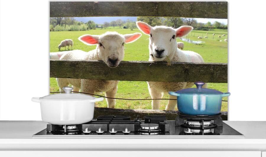 KitchenYeah Spatscherm keuken 90x60 cm Kookplaat achterwand Schapen- Hout Lam Muurbeschermer Spatwand fornuis Hoogwaardig aluminium