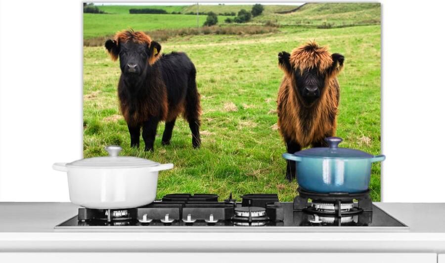 KitchenYeah Spatscherm keuken 90x60 cm Kookplaat achterwand Schotse hooglander Gras Koeien Muurbeschermer Spatwand fornuis Hoogwaardig aluminium