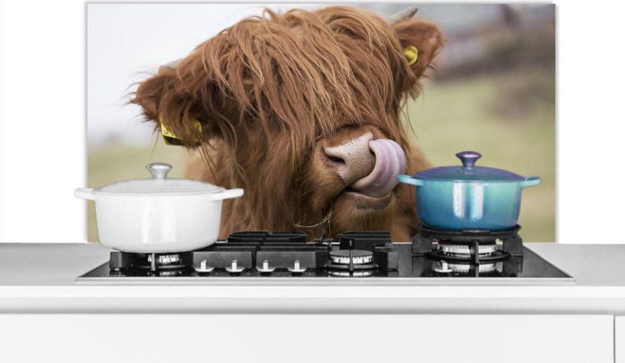 KitchenYeah Spatscherm keuken 100x50 cm Kookplaat achterwand Schotse Hooglander Bruin Dieren Muurbeschermer Spatwand fornuis Hoogwaardig aluminium