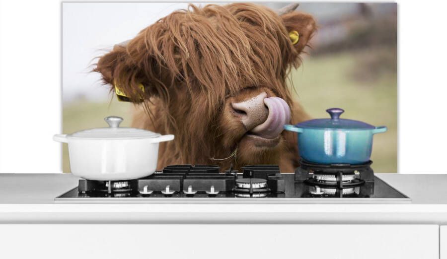 KitchenYeah Spatscherm keuken 100x50 cm Kookplaat achterwand Schotse Hooglander Bruin Koe Muurbeschermer Spatwand fornuis Hoogwaardig aluminium
