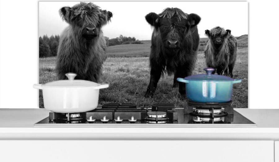 KitchenYeah Spatscherm keuken 100x50 cm Kookplaat achterwand Schotse hooglander Koeien Natuur Groen Gras Muurbeschermer Spatwand fornuis Hoogwaardig aluminium