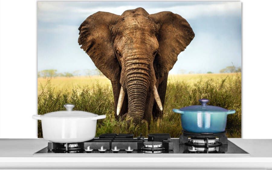 KitchenYeah Spatscherm keuken 100x65 cm Kookplaat achterwand Afrikaanse olifant vooraanzicht Muurbeschermer Spatwand fornuis Hoogwaardig aluminium
