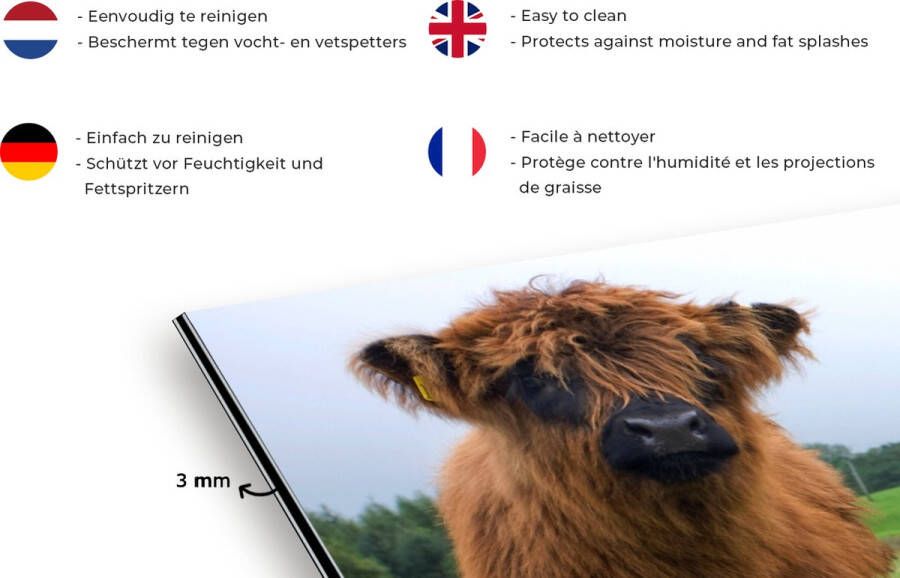 KitchenYeah Spatscherm Keuken Kookplaat Achterwand Spatwand Fornuis 100x65 cm Schotse hooglander Koeien Natuur Groen Gras Aluminium Wanddecoratie Muurbeschermer Hittebestendig