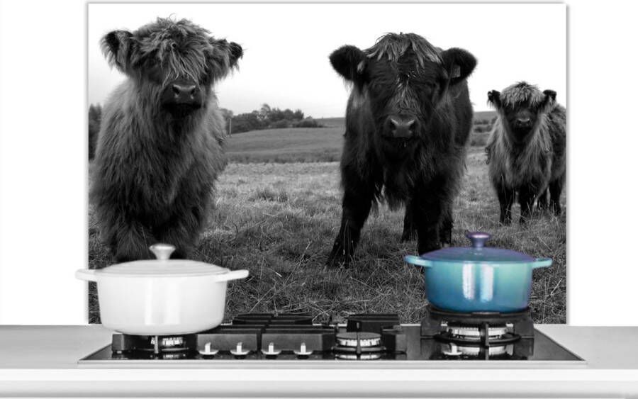 KitchenYeah Spatscherm keuken 100x65 cm Kookplaat achterwand Schotse hooglander Koeien Natuur Groen Gras Muurbeschermer Spatwand fornuis Hoogwaardig aluminium
