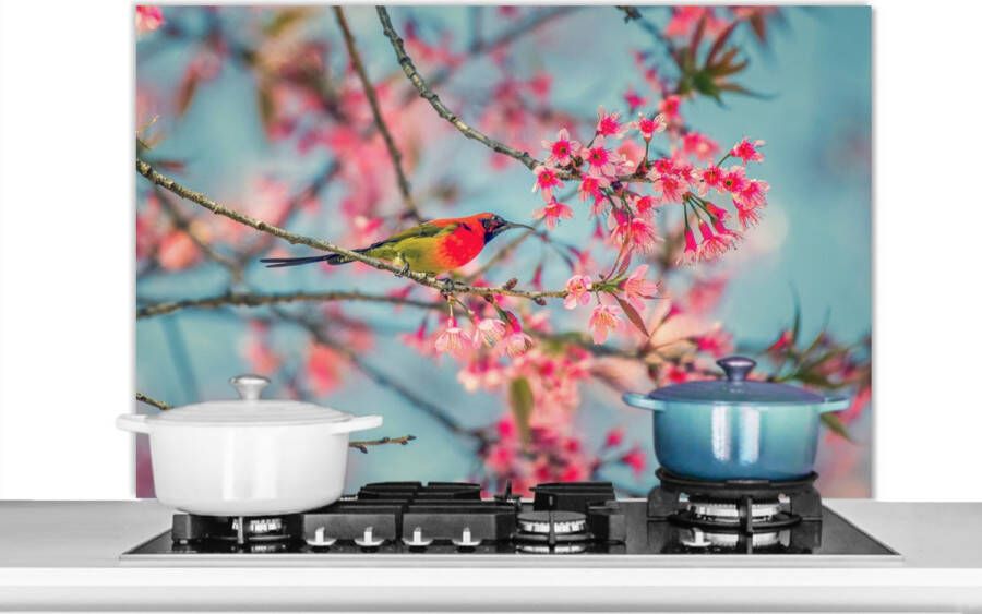 KitchenYeah Spatscherm keuken 100x65 cm Kookplaat achterwand Vogel Sakura Kleuren Muurbeschermer Spatwand fornuis Hoogwaardig aluminium