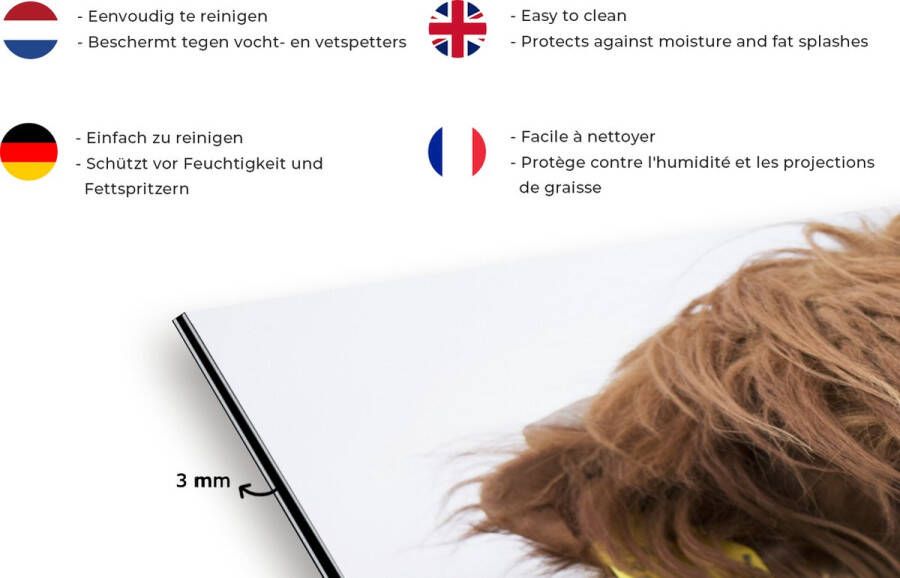 KitchenYeah Spatscherm keuken 120x60 cm Kookplaat achterwand Schotse Hooglander Bruin Dieren Muurbeschermer Spatwand fornuis Hoogwaardig aluminium - Foto 2