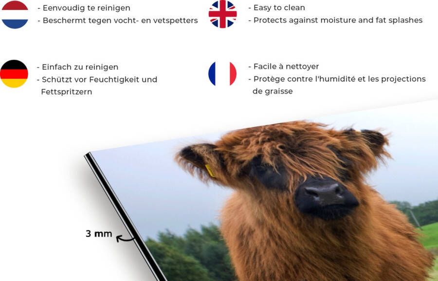 KitchenYeah Spatscherm Keuken Kookplaat Achterwand Spatwand Fornuis 120x60 cm Schotse hooglander Koeien Natuur Groen Gras Aluminium Wanddecoratie Muurbeschermer Hittebestendig