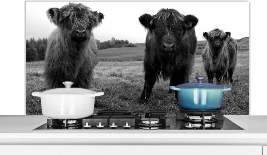 KitchenYeah Spatscherm keuken 120x60 cm Kookplaat achterwand Schotse hooglander Koeien Natuur Groen Gras Muurbeschermer Spatwand fornuis Hoogwaardig aluminium