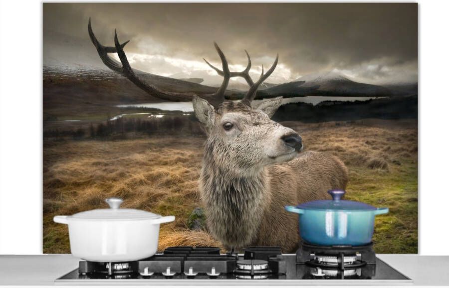 KitchenYeah Spatscherm keuken 120x80 cm Kookplaat achterwand Gewei Hert Berg Muurbeschermer Spatwand fornuis Hoogwaardig aluminium